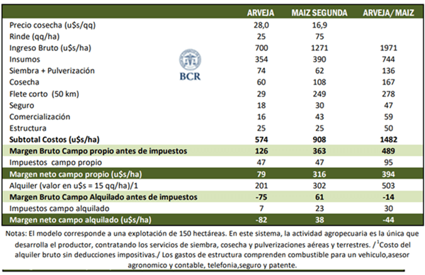 La arveja se afirma en la rotación y apunta a un récord productivo en la zona núcleo 8 BCR arveja 3