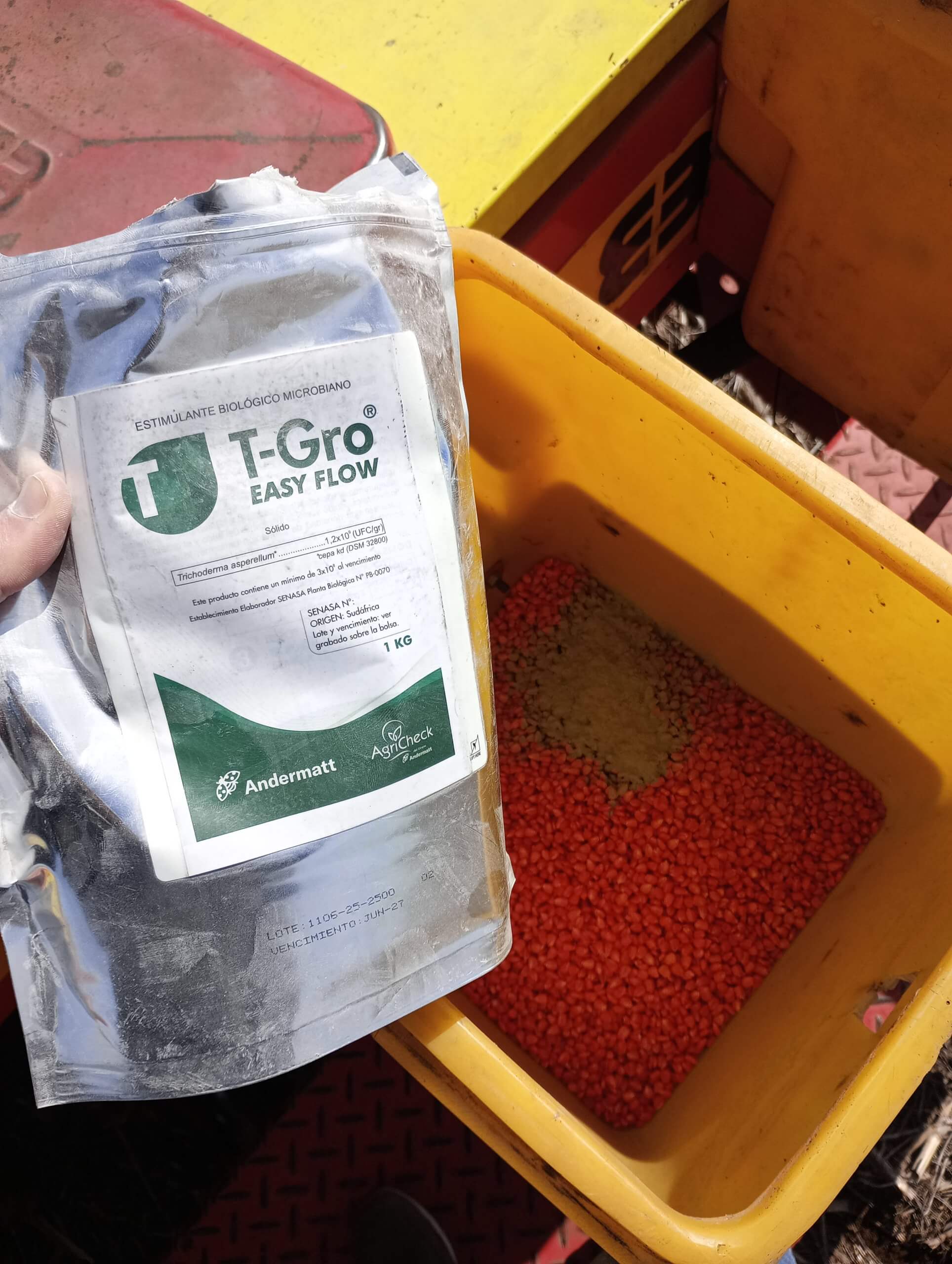 IMG 20250925 110229 scaled