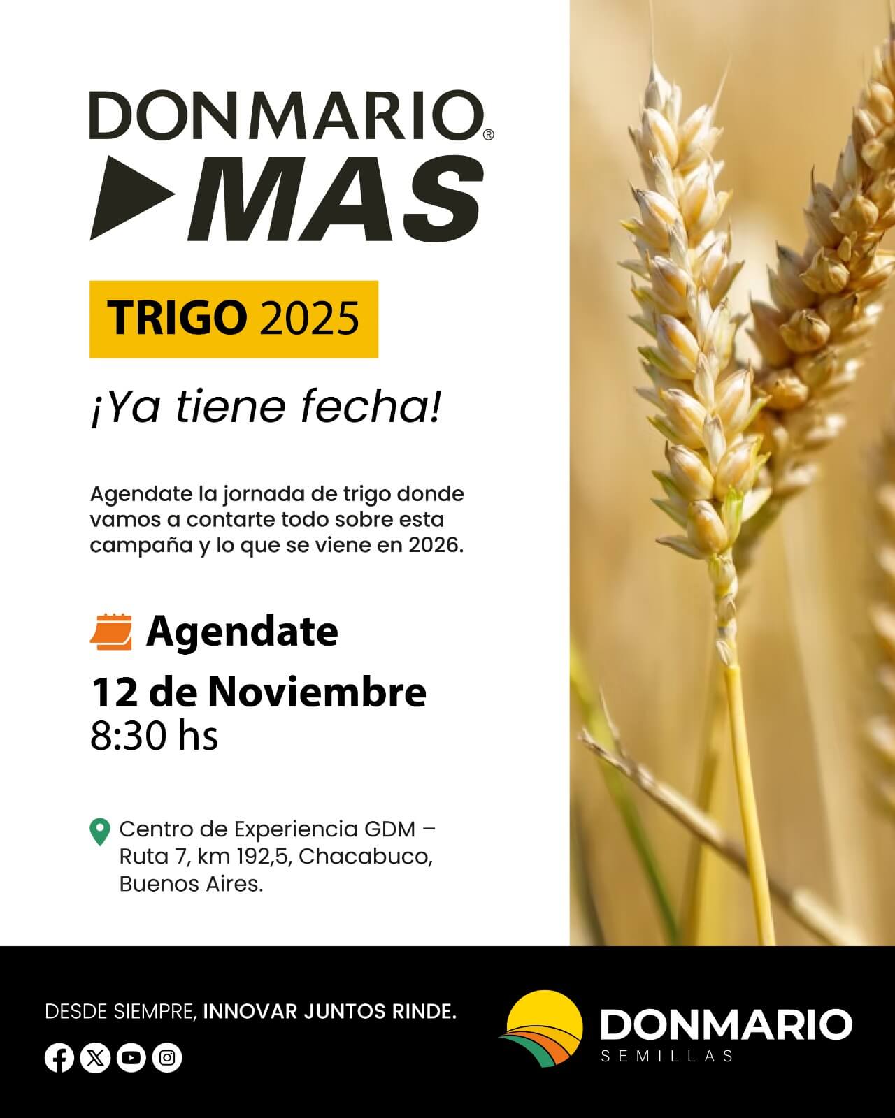 WhatsApp Image 2025 10 16 at 10.29.51