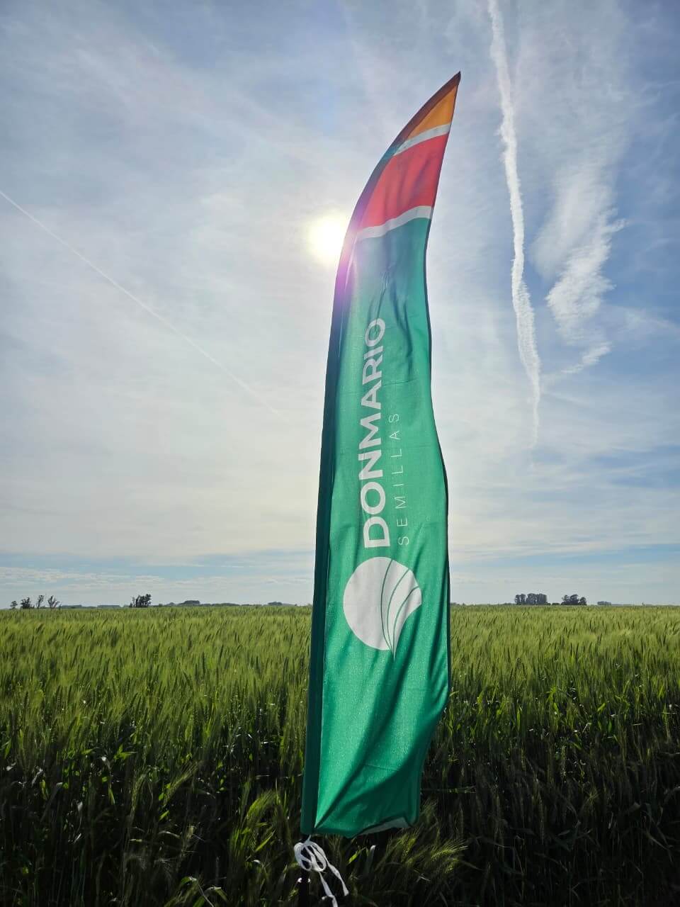 WhatsApp Image 2025 10 21 at 17.32.30 1