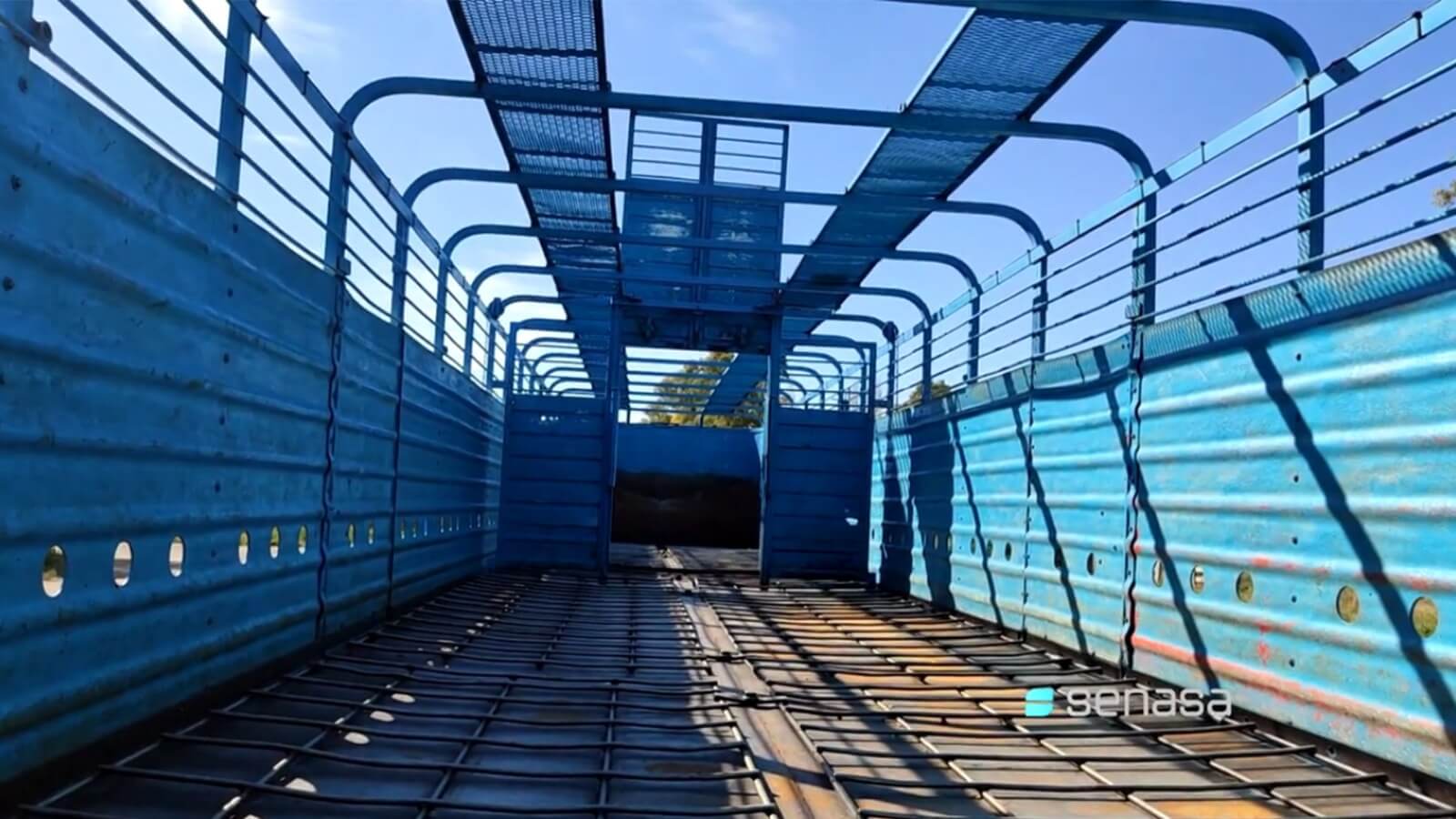 jaula camion senasa hacienda