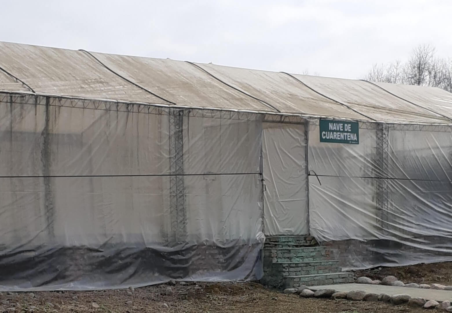 nave cuarentena senasa