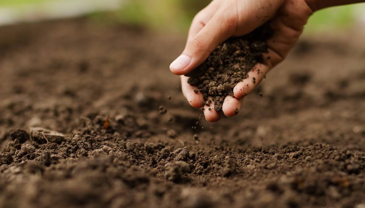 AdobeStock 298494603