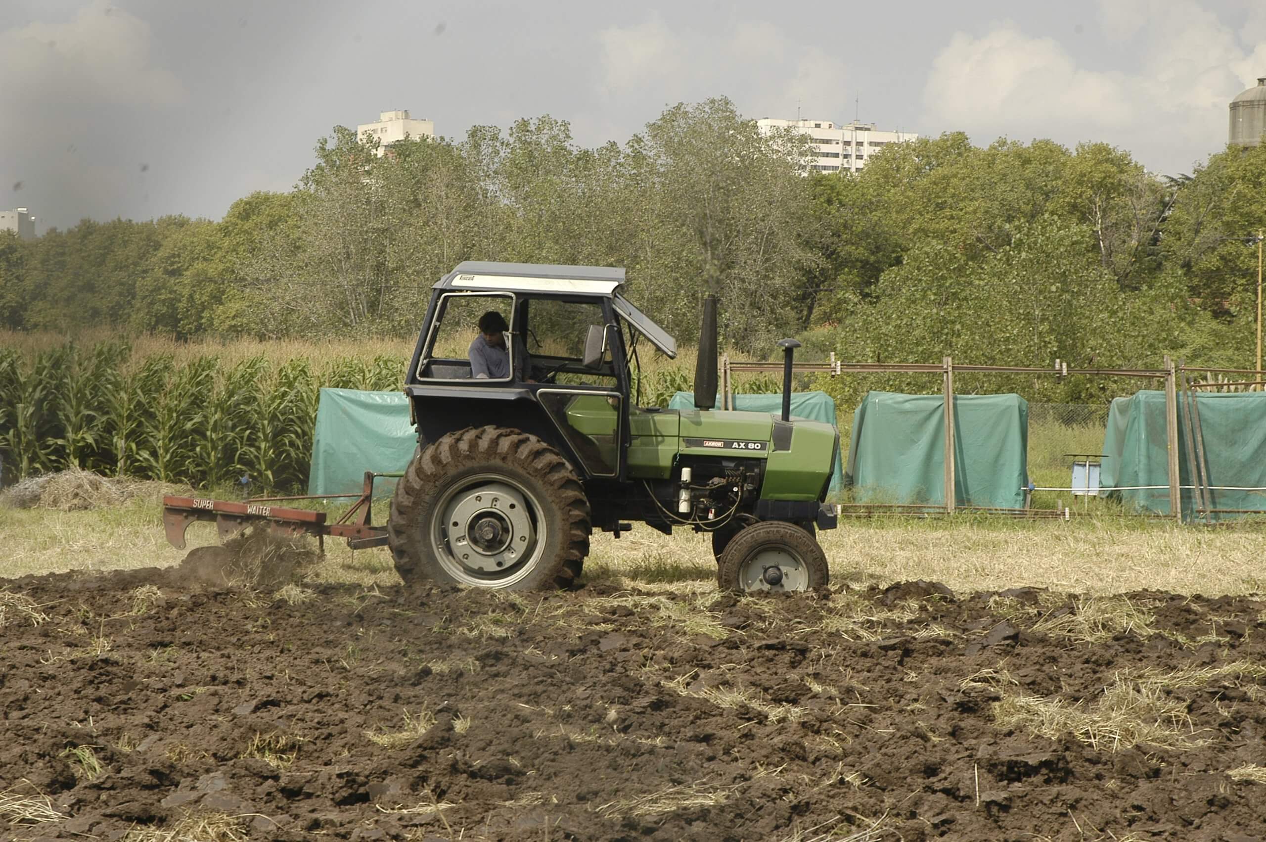 Campo de semillas arado 07 scaled