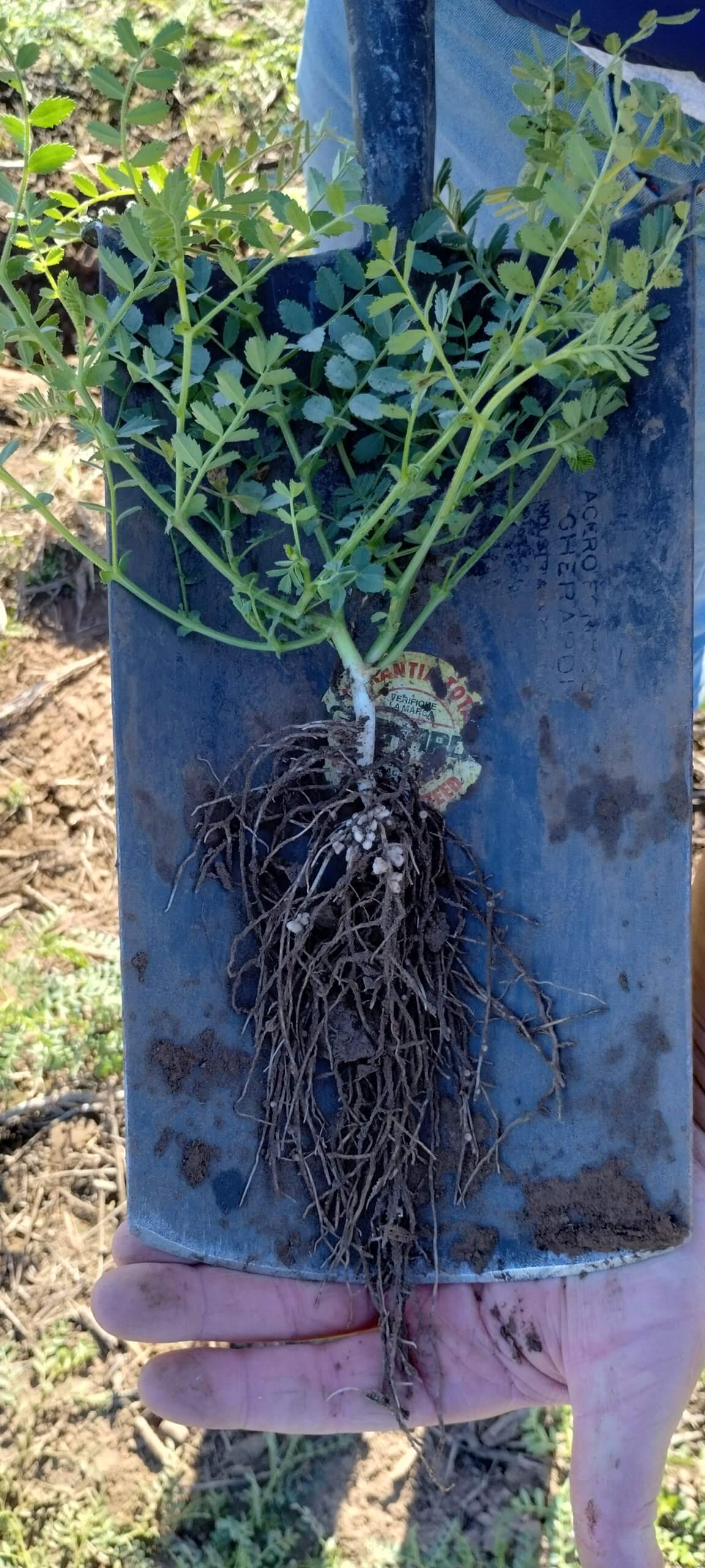 IMG 20230614 110754408 HDR scaled