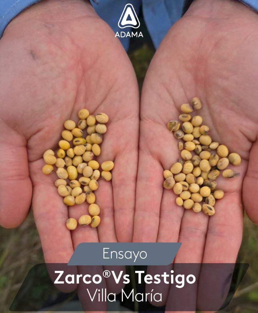 PHOTO 2025 06 02 14 04 27