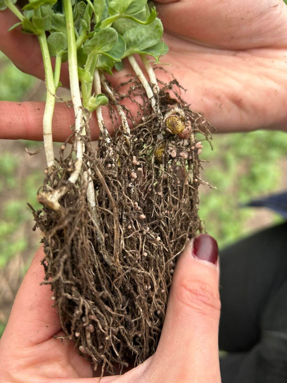 WhatsApp Image 2025 11 04 at 8.52.07 AM