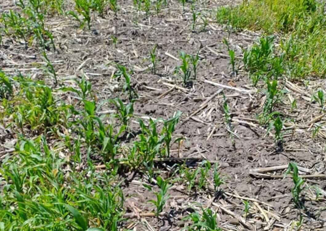 WhatsApp Image 2025 11 04 at 9.26.37 AM