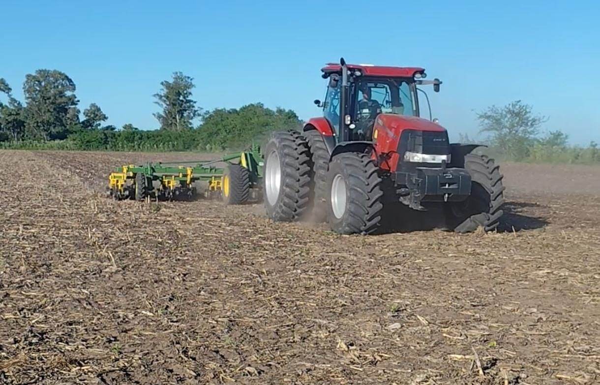 WhatsApp Image 2025 11 04 at 9.26.38 AM 1