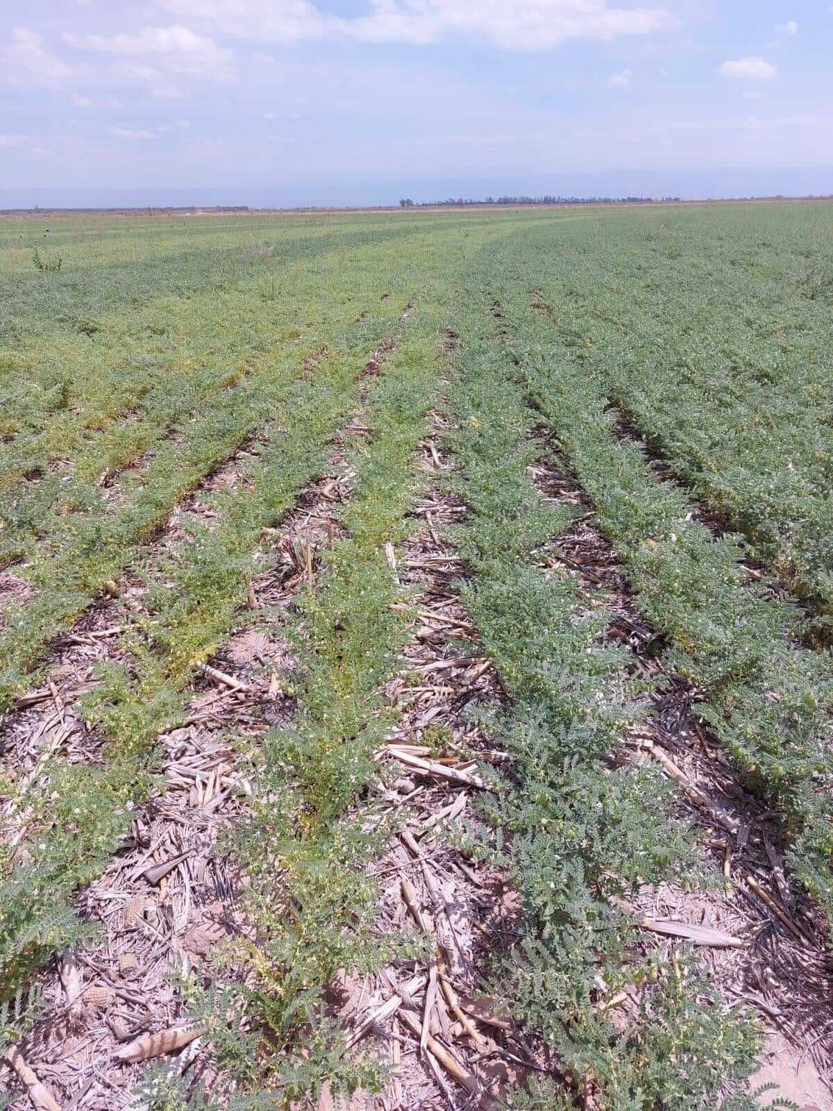 WhatsApp Image 2025 11 04 at 9.35.43 AM