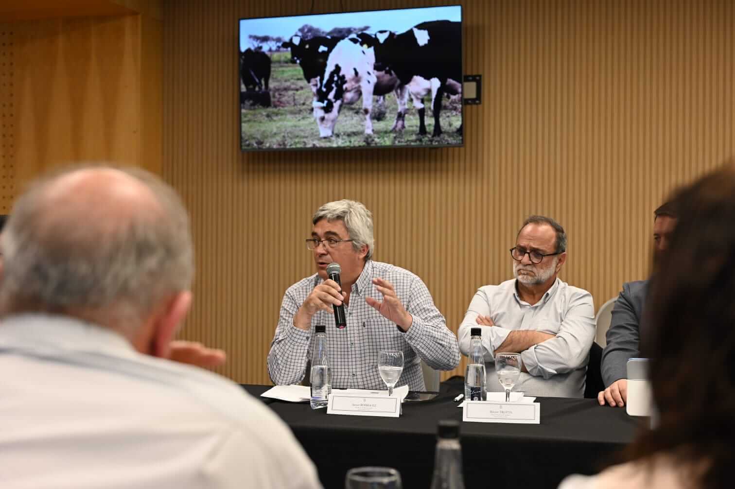 WhatsApp Image 2025 11 19 at 16.43.01