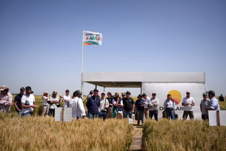 WhatsApp Image 2025 11 20 at 10.15.39 AM 2