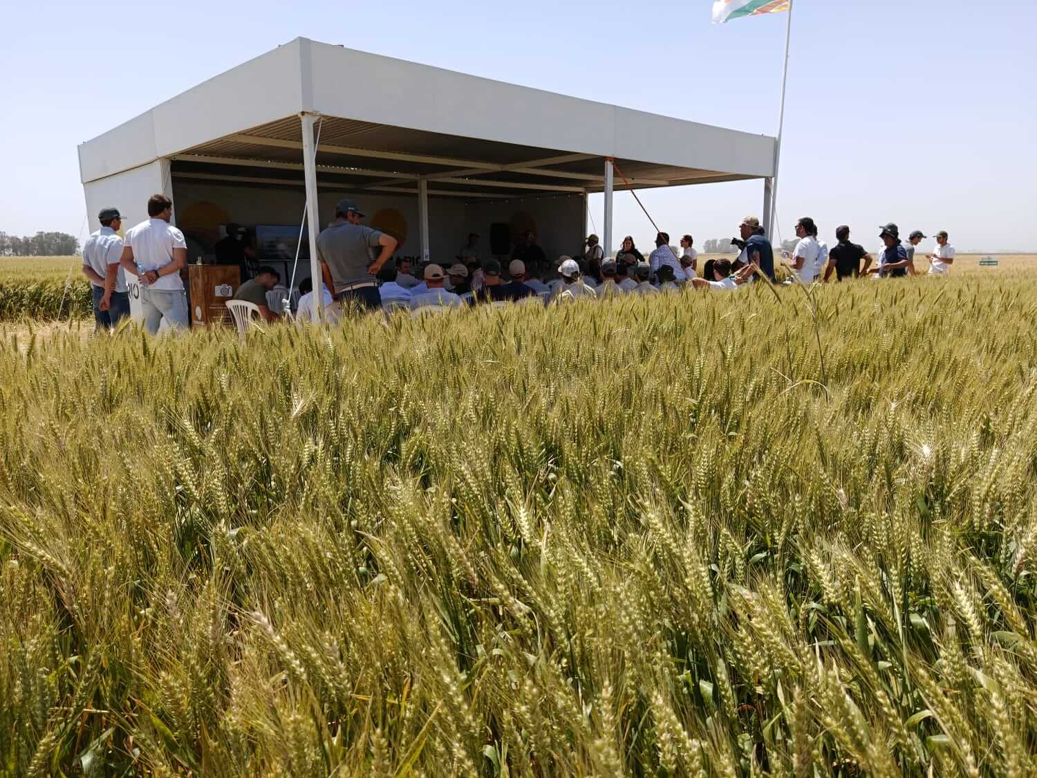 WhatsApp Image 2025 11 20 at 10.32.36 AM