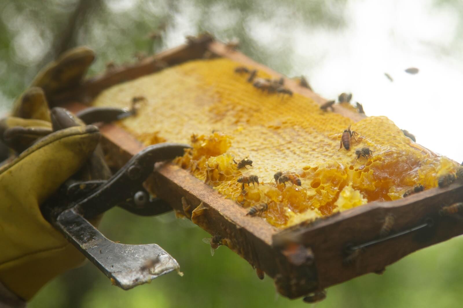 WhatsApp Image 2025 11 28 at 9.19.33 AM