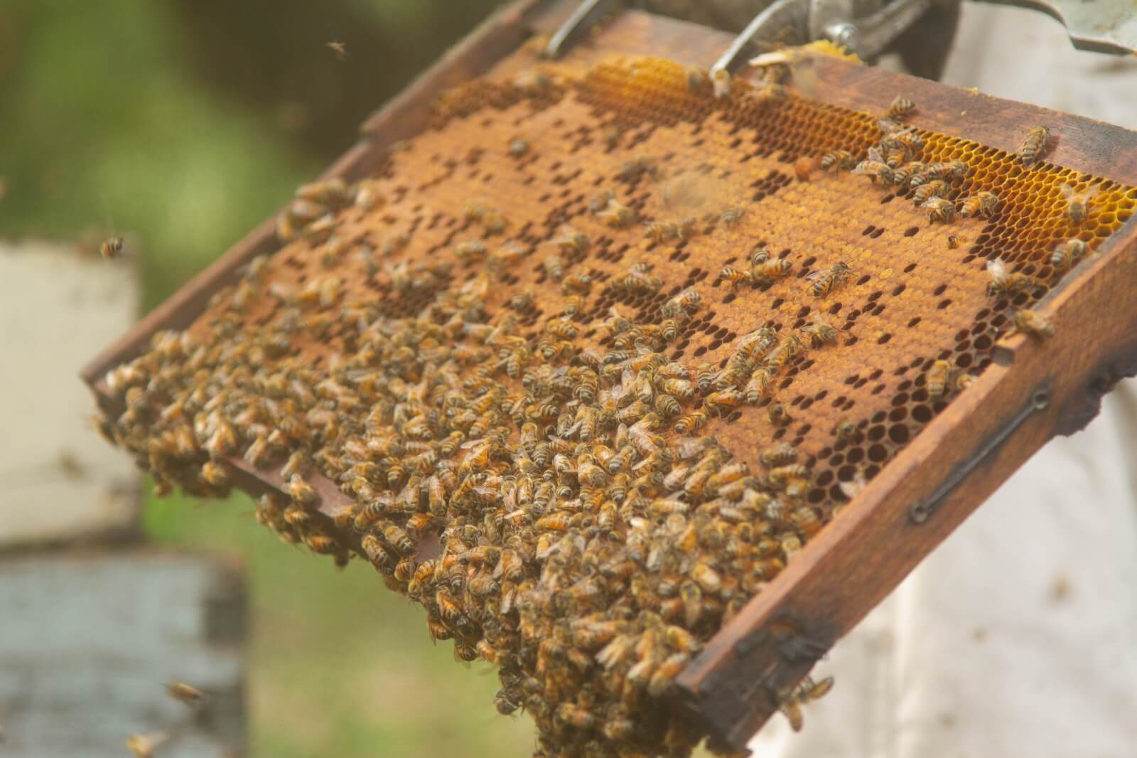 WhatsApp Image 2025 11 28 at 9.19.34 AM