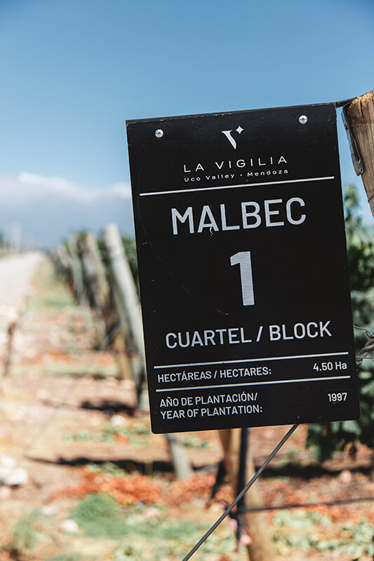 bodega restaurante la vigilia