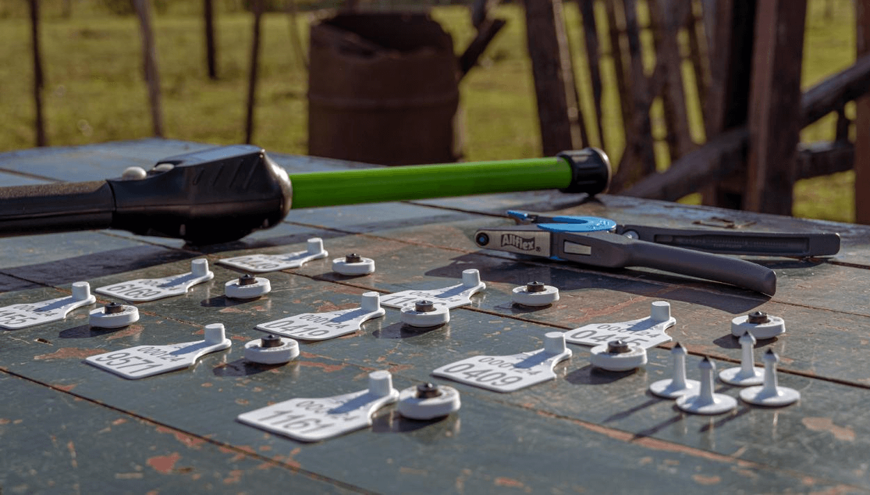 botones trazabilidad electronica bovina