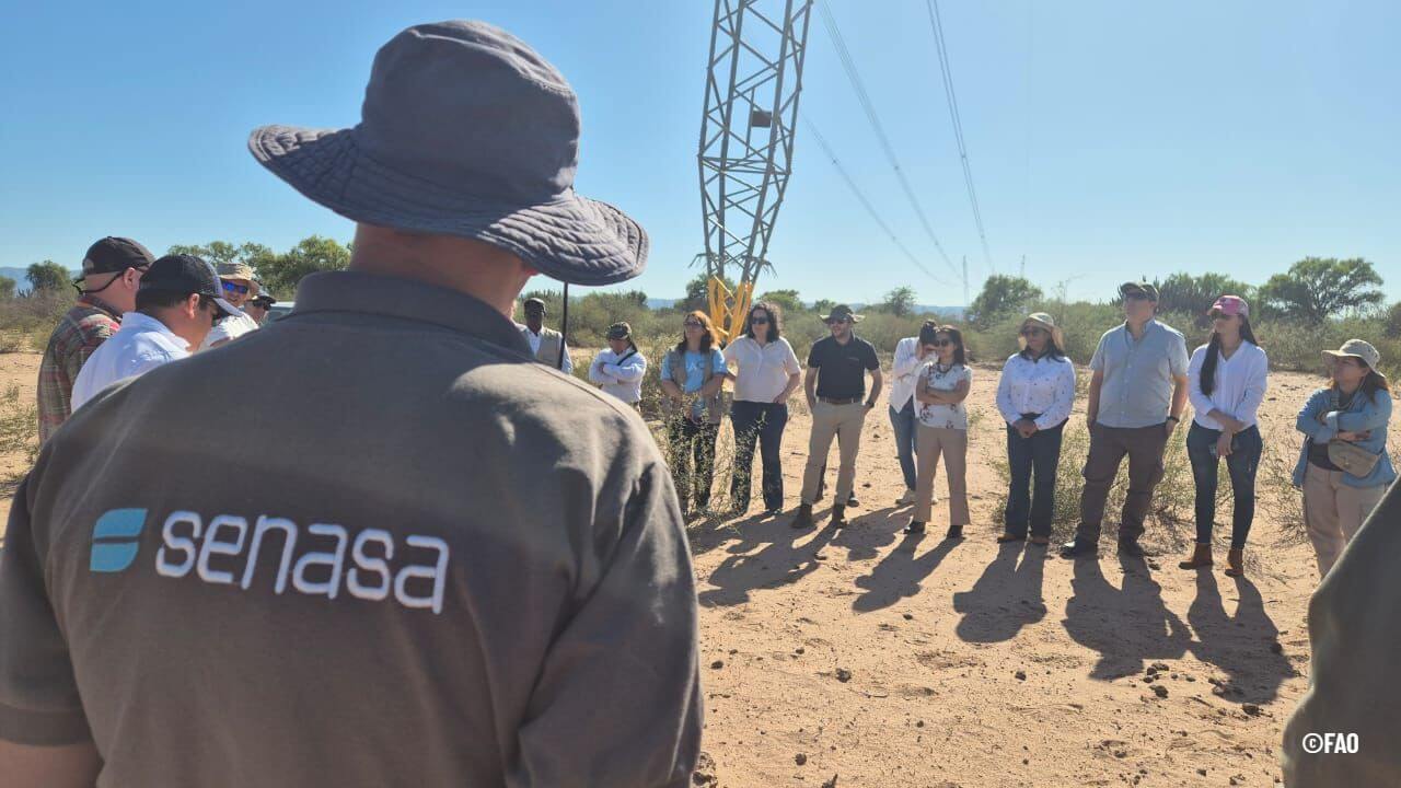 cfda32dc d1db 4a03 a5ed c171c8b8cebd