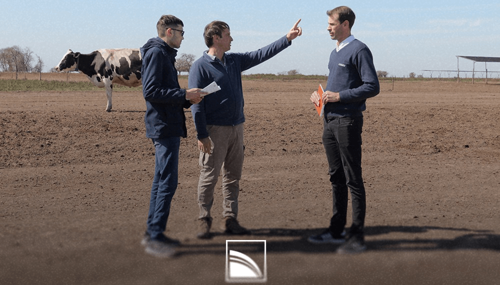 cooperativa lehman tambo