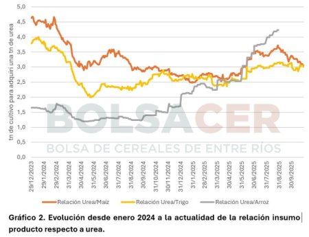 Deterioro: los fertilizantes están en fase alcista y ponen en jaque la rentabilidad de los cereales 2 cuadro 2 768x588 1