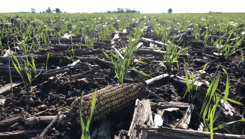 cultivos rastrojos garciandia