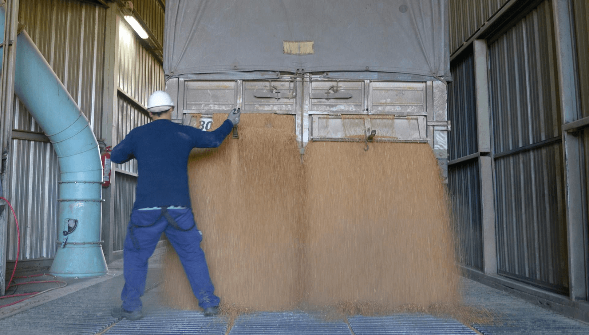 granos soja cosecha descarga camion sagyp