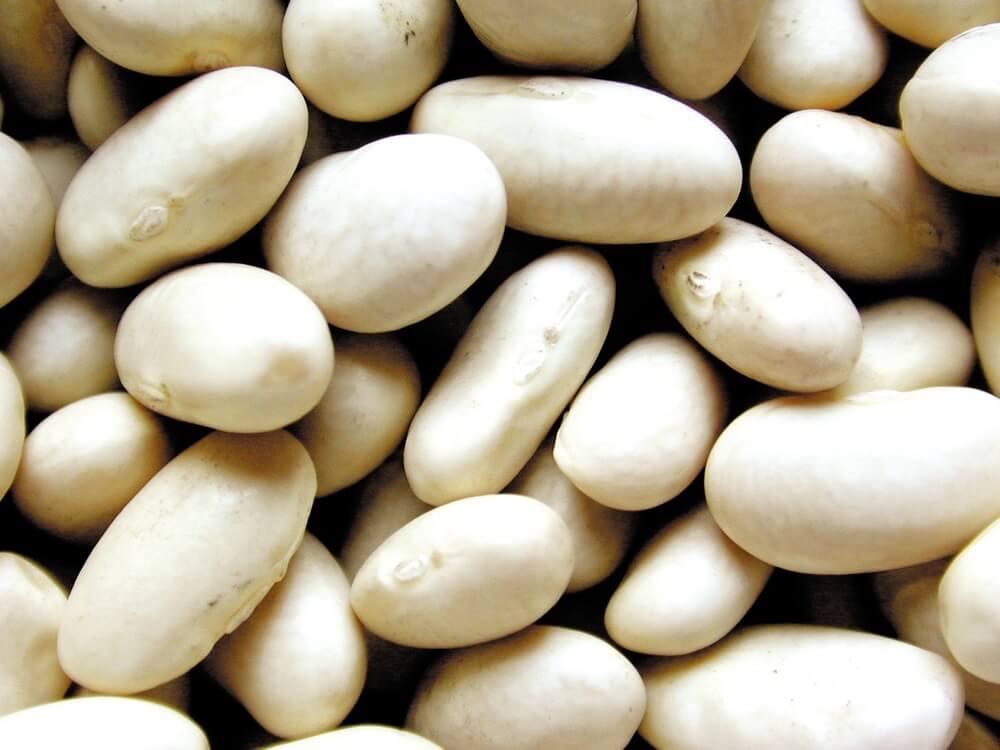 Legumbres récord en Argentina: la producción creció 57% en la campaña 2024/25 1 poroto