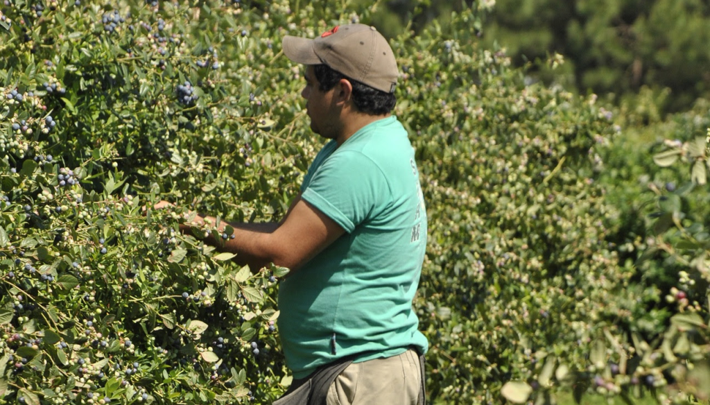 trabajador rural renatre