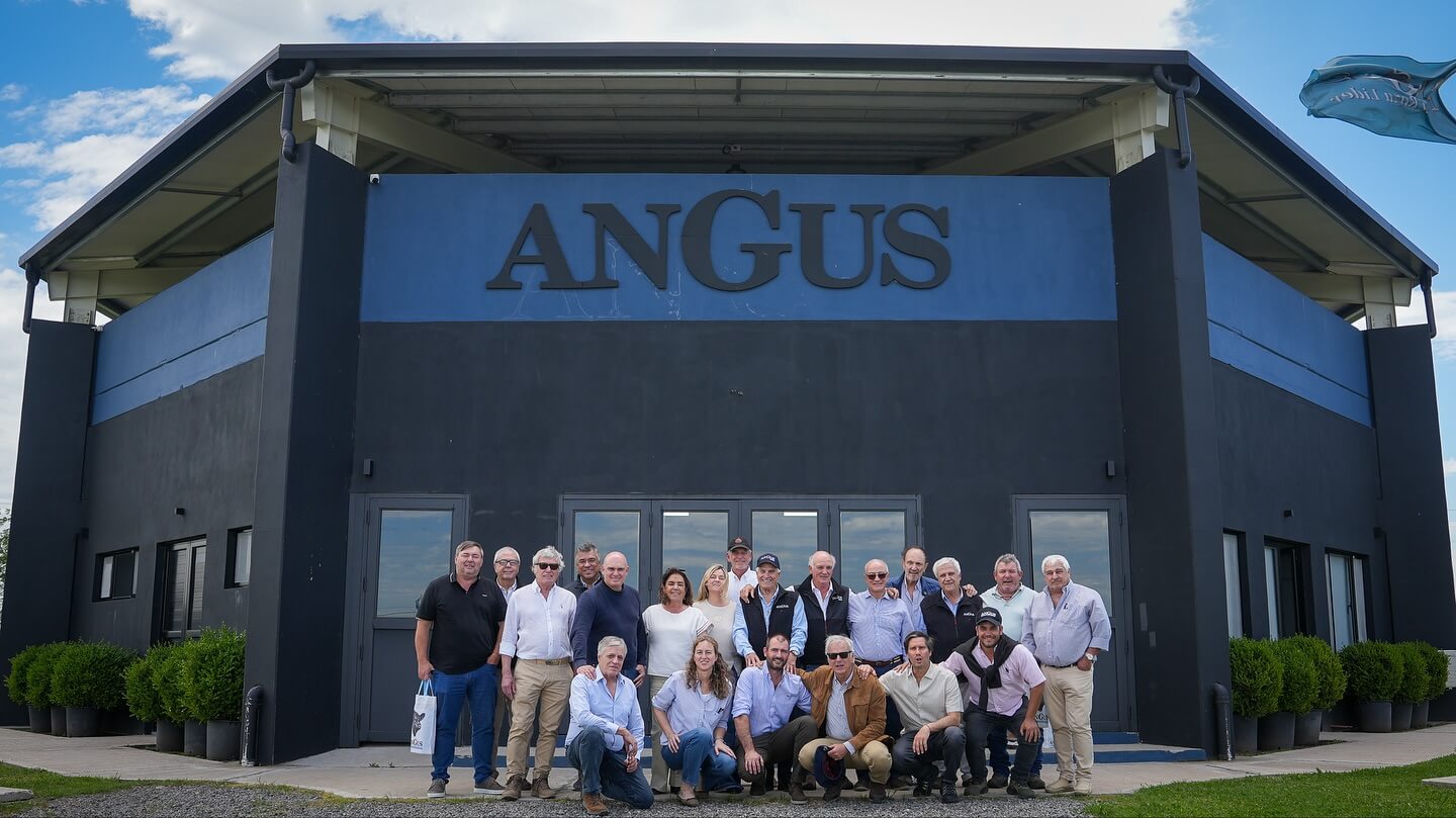 581538150 18419764198116531 3794187725035116384 n