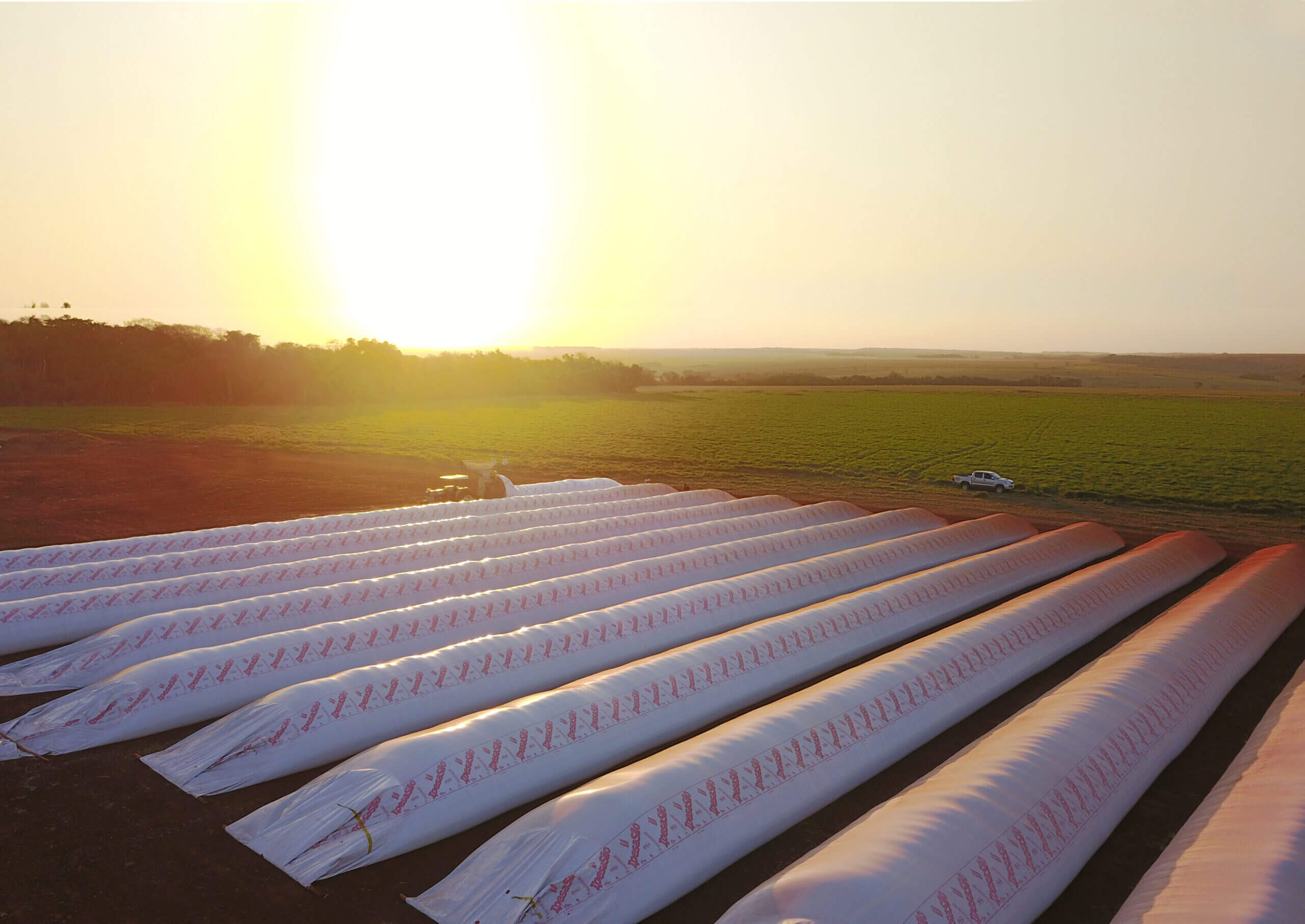 Día de la Maquinaria Agrícola: tres hitos que transformaron la producción en Argentina 2 Descarga la foto del silobolsa
