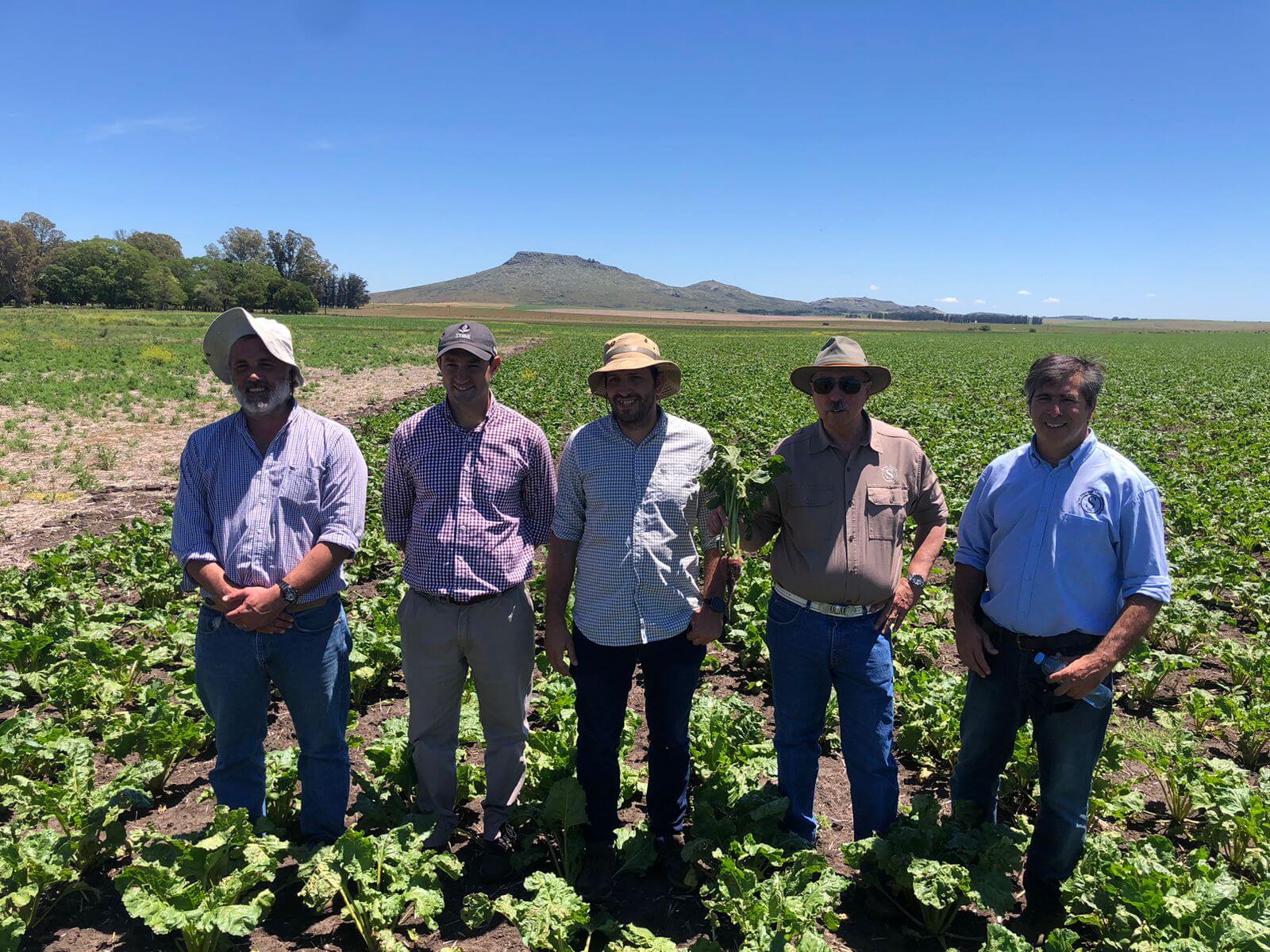 Casi 16.000 hectáreas con granos y animales: Santa Marta, la estancia donde el dogma productivo es la prolijidad 9 Equipo