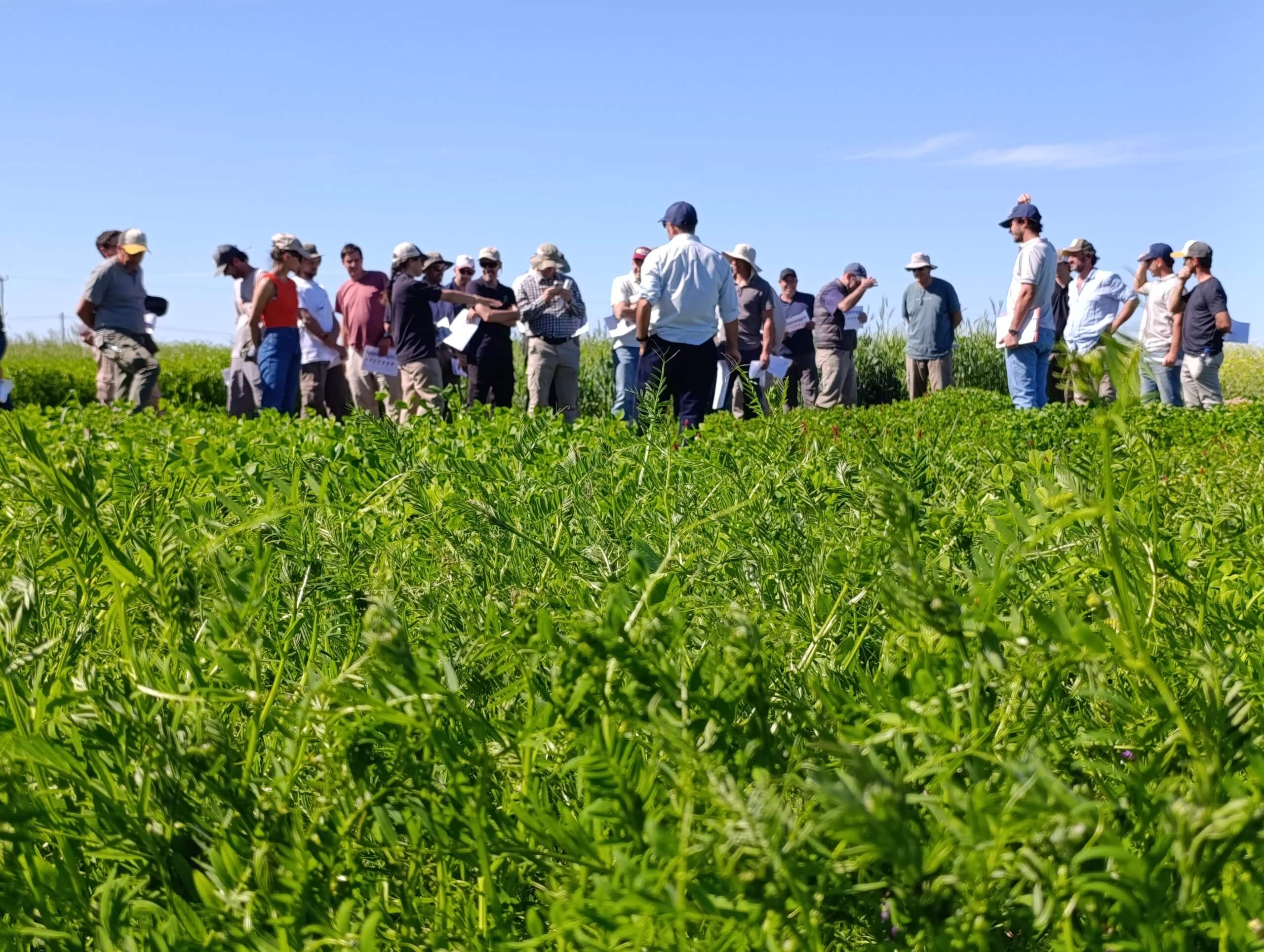 IMG 20251001 152530 scaled