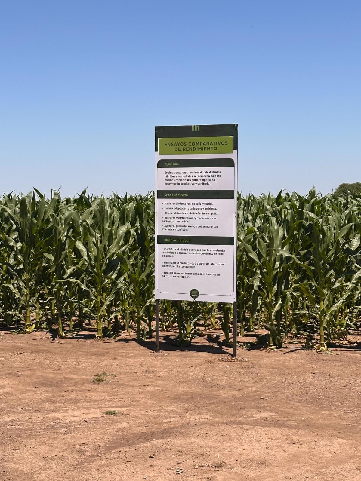 PHOTO 2025 12 09 10 29 26