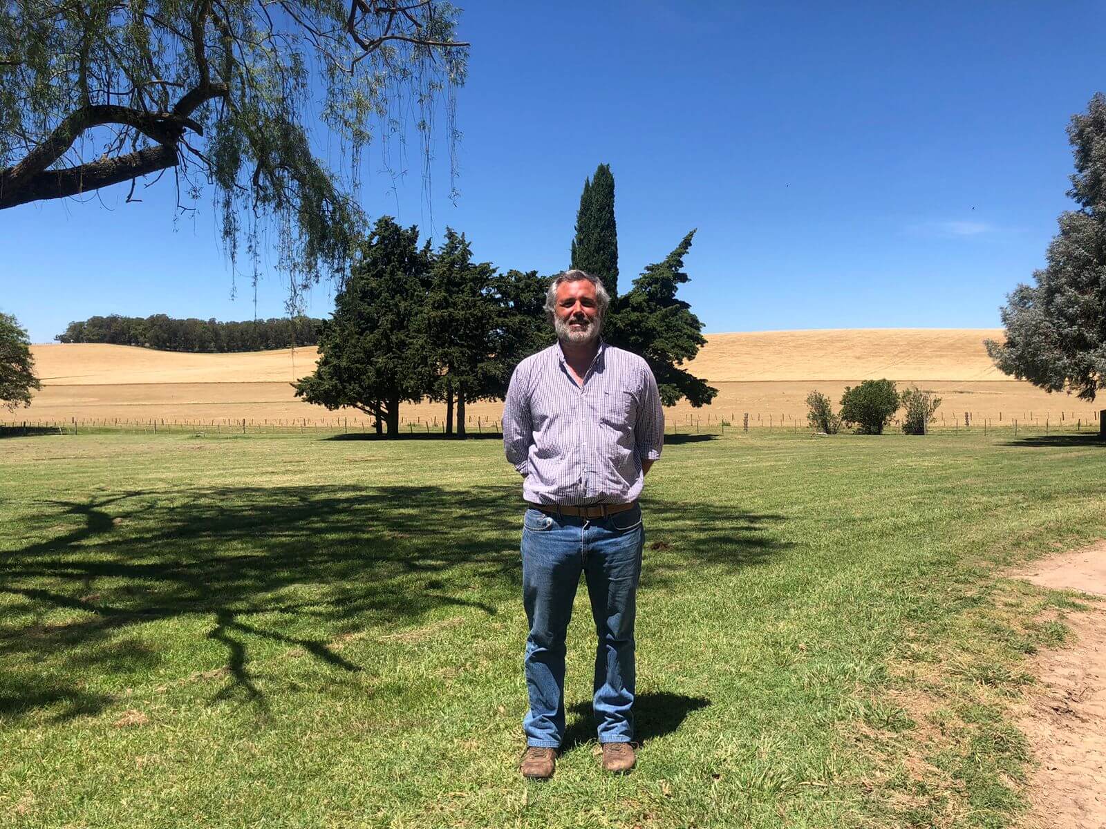 Casi 16.000 hectáreas con granos y animales: Santa Marta, la estancia donde el dogma productivo es la prolijidad 5 SANTA MARTA 7