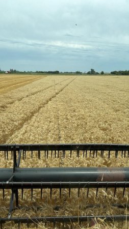 WhatsApp Image 2025 12 26 at 5.22.58 PM