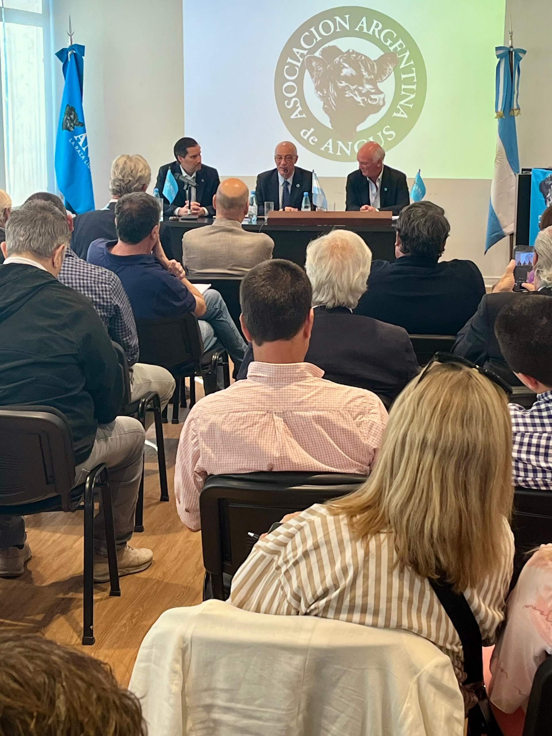 asamblea angus scaled