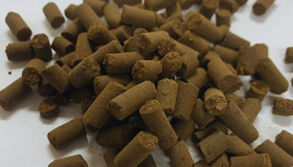 “Revoluciona el manejo”: en Cuyo crearon un biofertilizante en forma de pellets y a base de compost “Revoluciona el manejo”: en Cuyo crearon un biofertilizante en forma de pellets y a base de compost