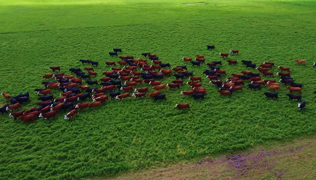 El “delirio” de la tasa al metano de Lucía Klug: una respuesta con datos y base científica