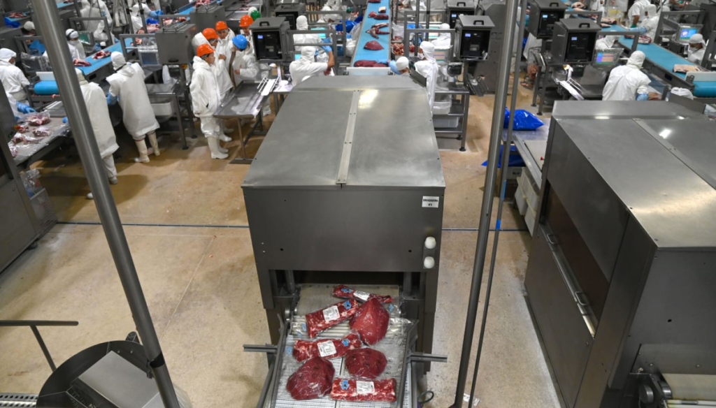 carne frigorifico exportaciones sagyp