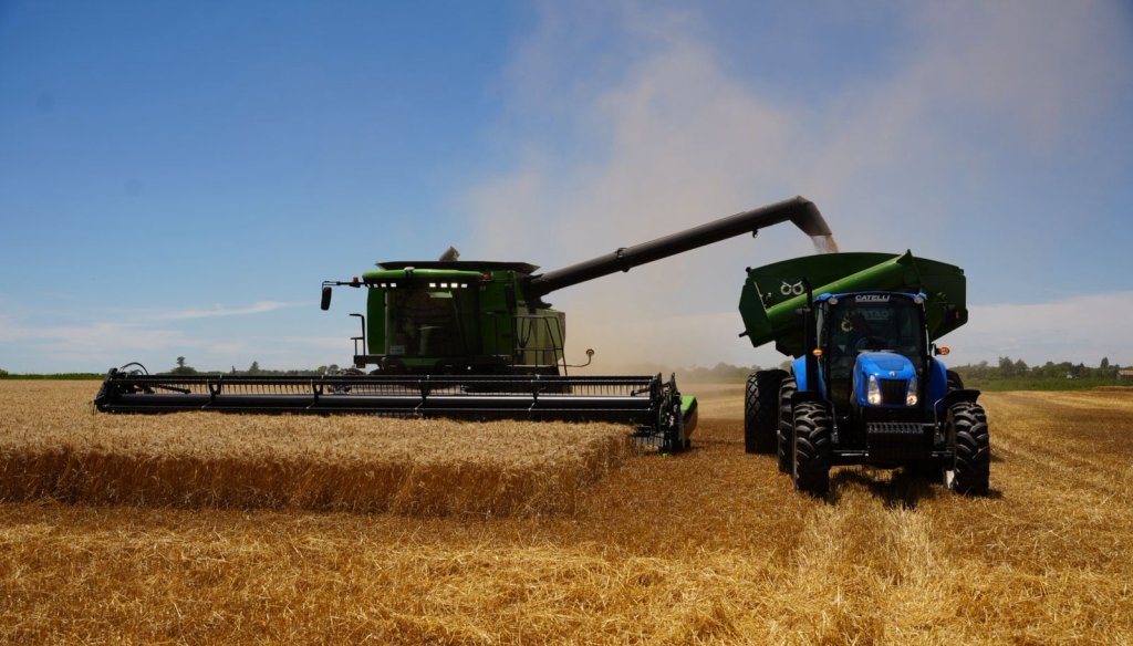 cosecha trigo ministerio cordoba