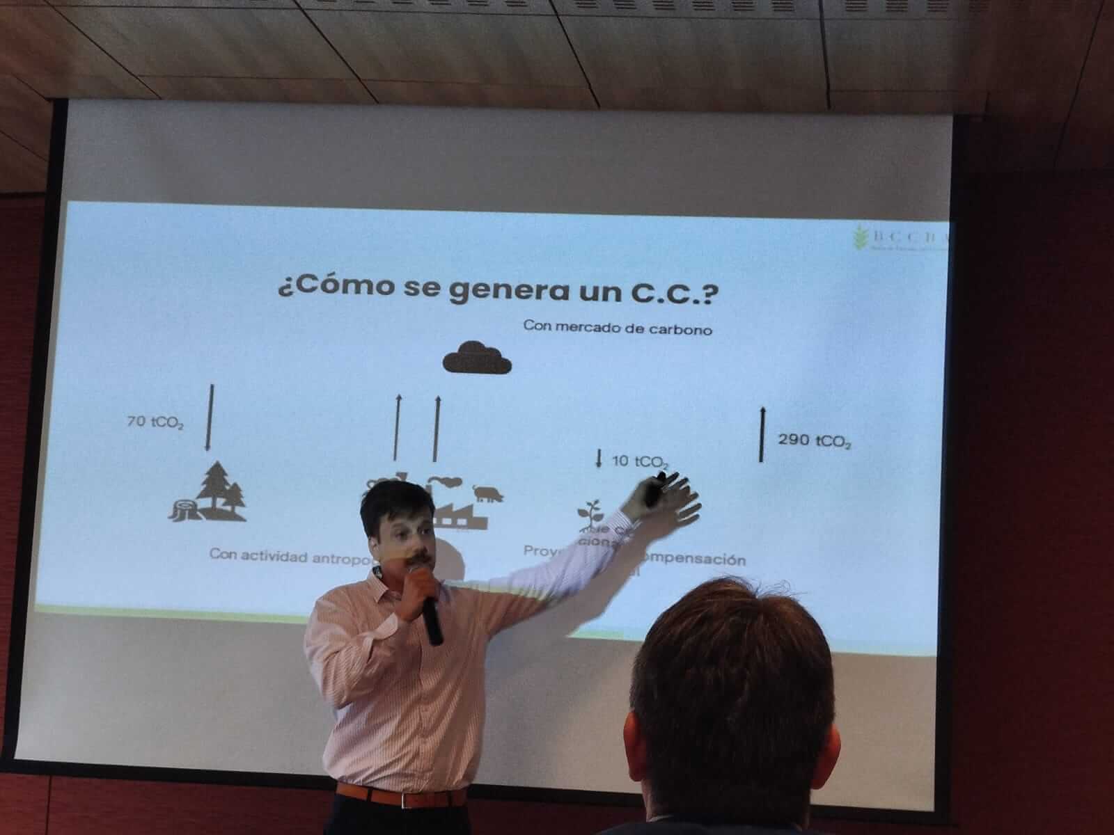 creditos carbono bolsa