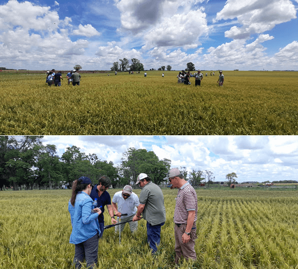 dia del suelo fertilizar