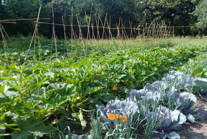 dieguez agricultura familiar