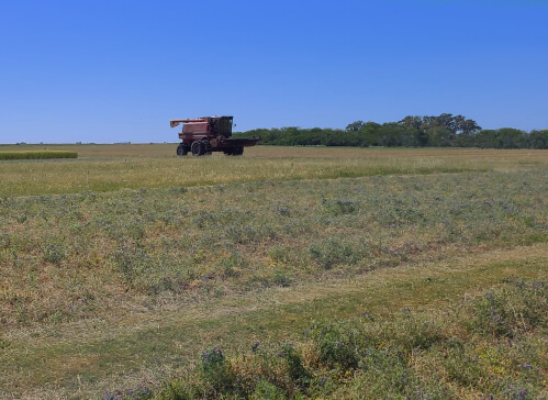 dieguez cosechadora ph Gonzalo Camba