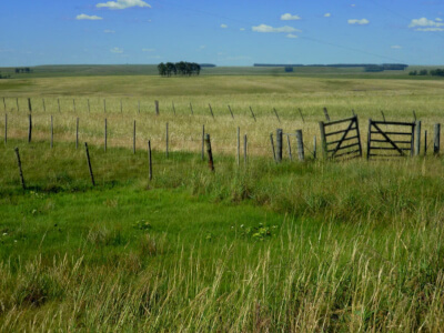 dieguez parcelas familiares ph Hernan Dieguez