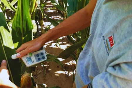 efluentes porcinos 1 768x514.jpg