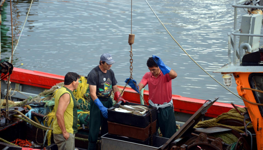 pesca trabajadores sagyp