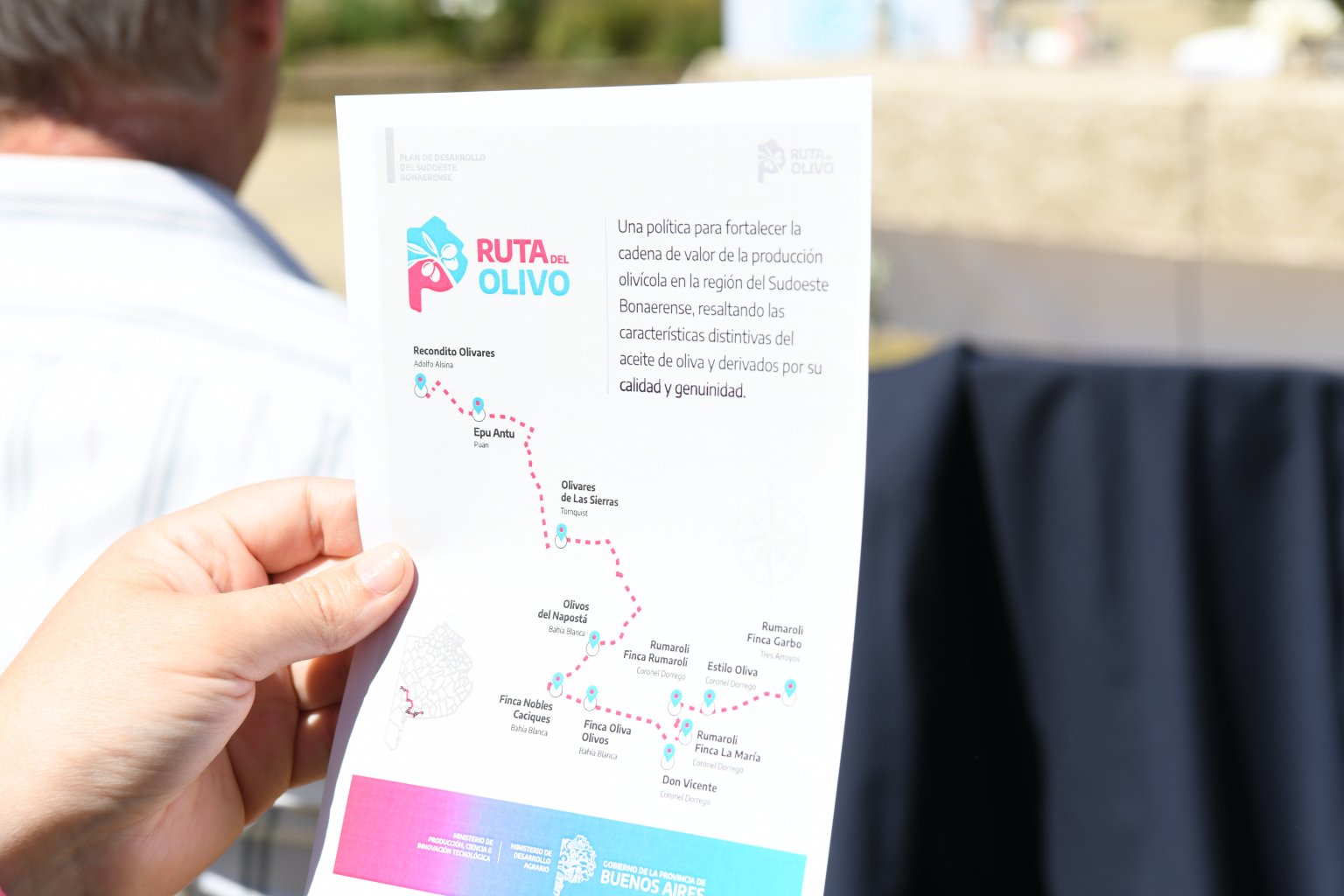 El sudoeste bonaerense lanza la Ruta del Olivo para integrar producción, turismo y valor agregado