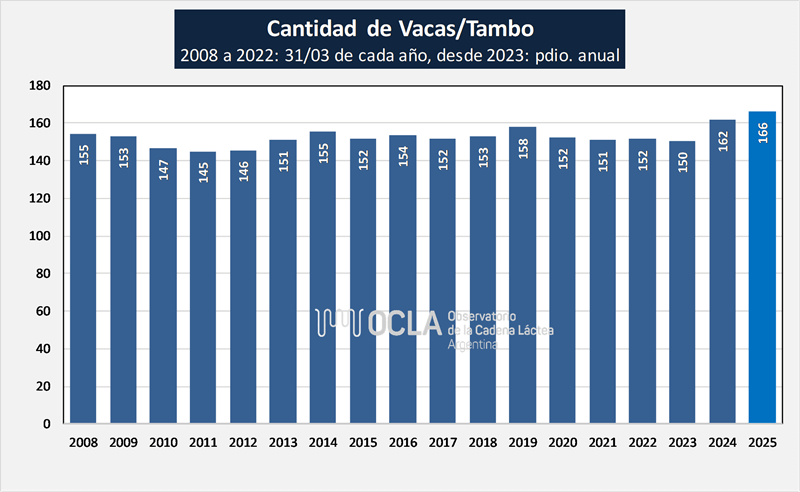 Un tobogán en la lechería que no encuentra piso: 2025 fue otro año con pérdidas de tambos 3 35209174 105