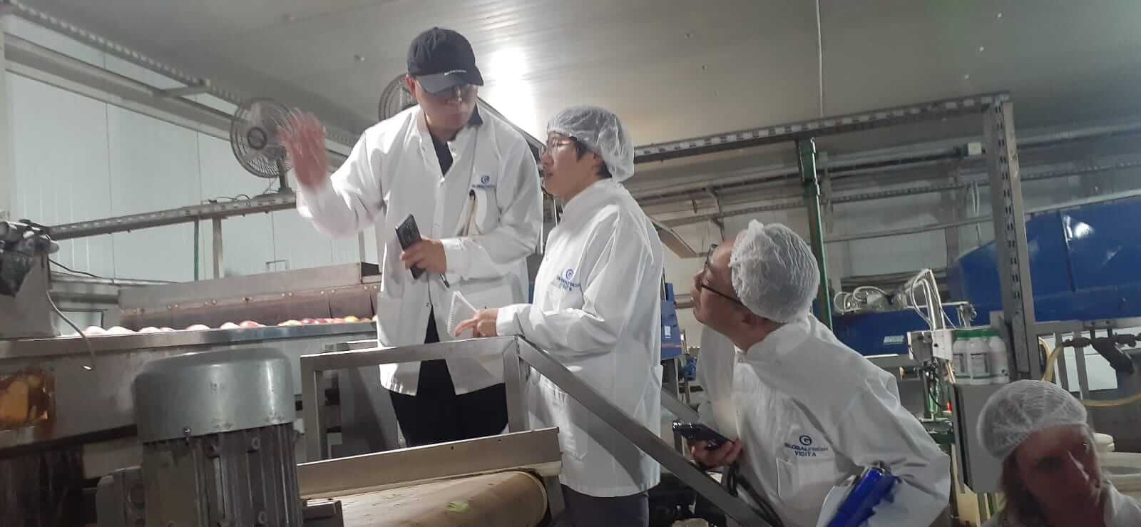 China fruta carozo 3